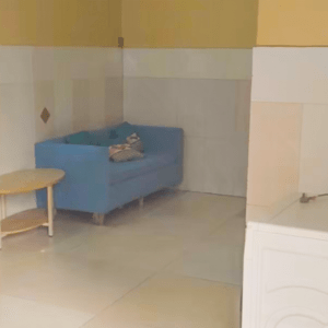 1880一楼一室一厅新和二区